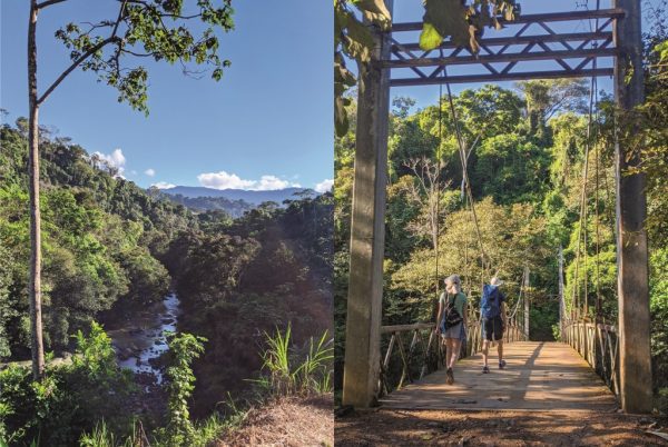 CAMPESINOS ECOLODGE - Image 2